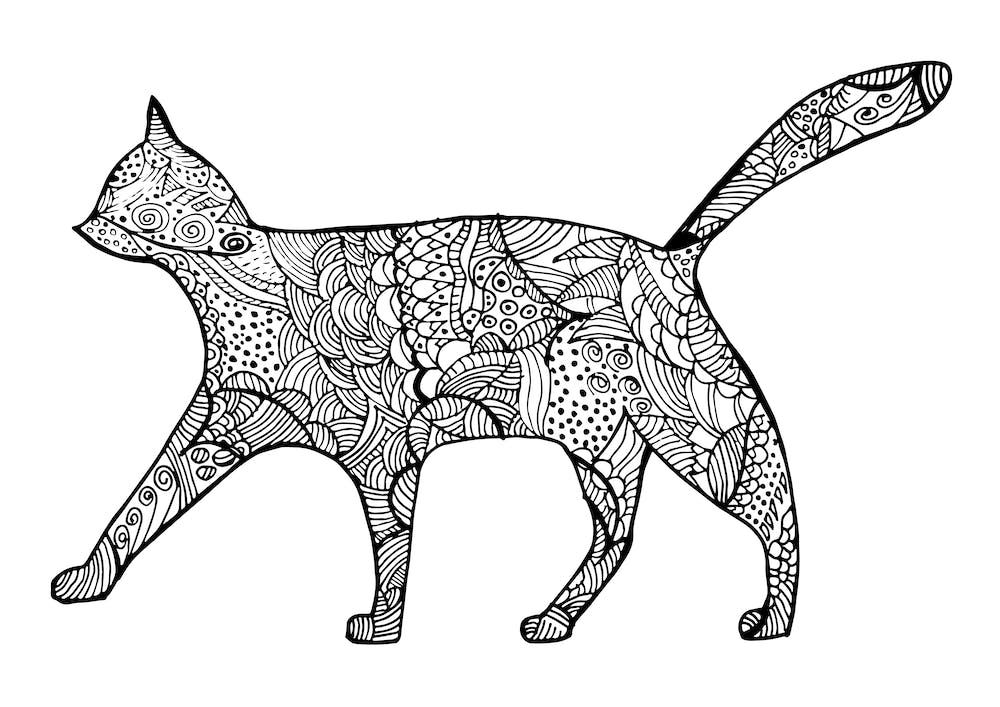 Pattern of Cat
