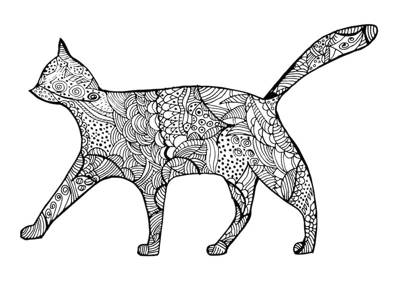 Pattern of Cat