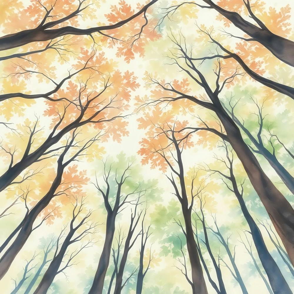 Trees In The Forest 2