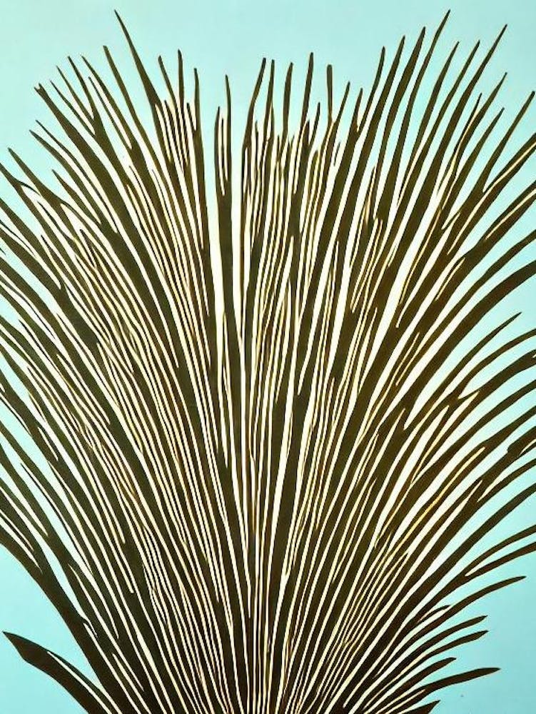 Acropora Cytherea Iii Linocut