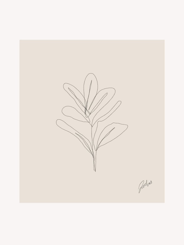 Pure forms no 29
