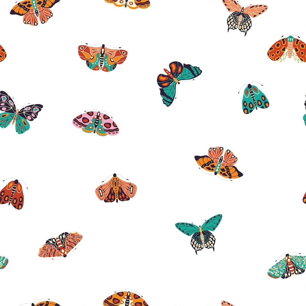 Colorful Moths And Butterfly Pattern On White Square