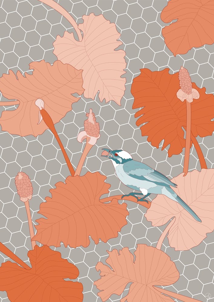 Turquoise Bird On Hexagon