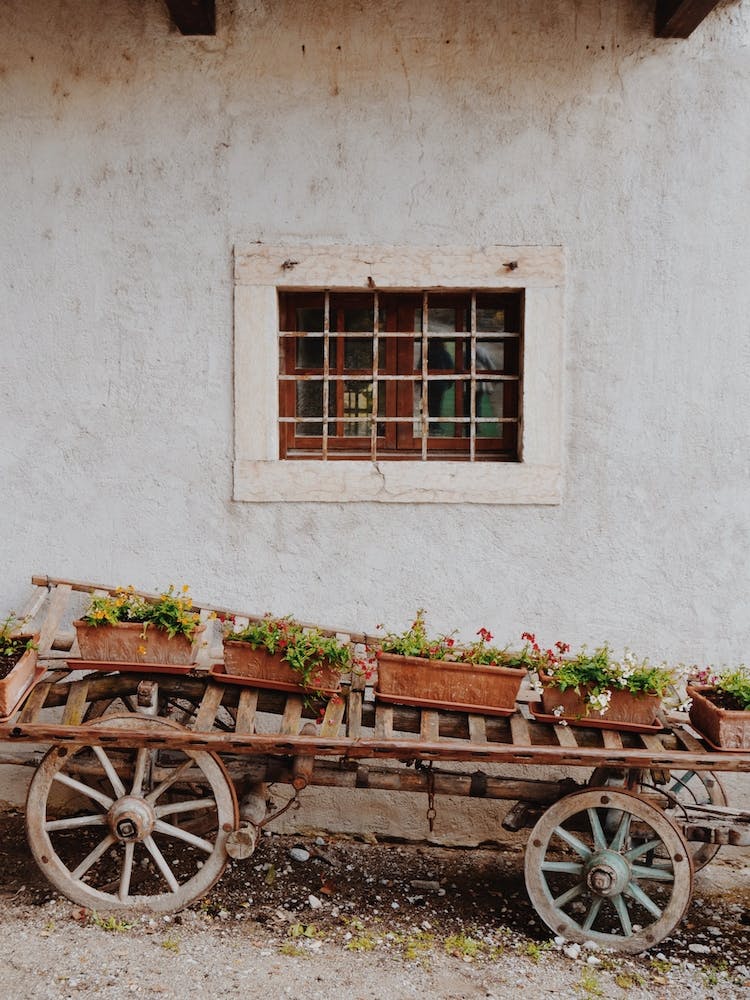 Pots Of Flowers On A Wagon