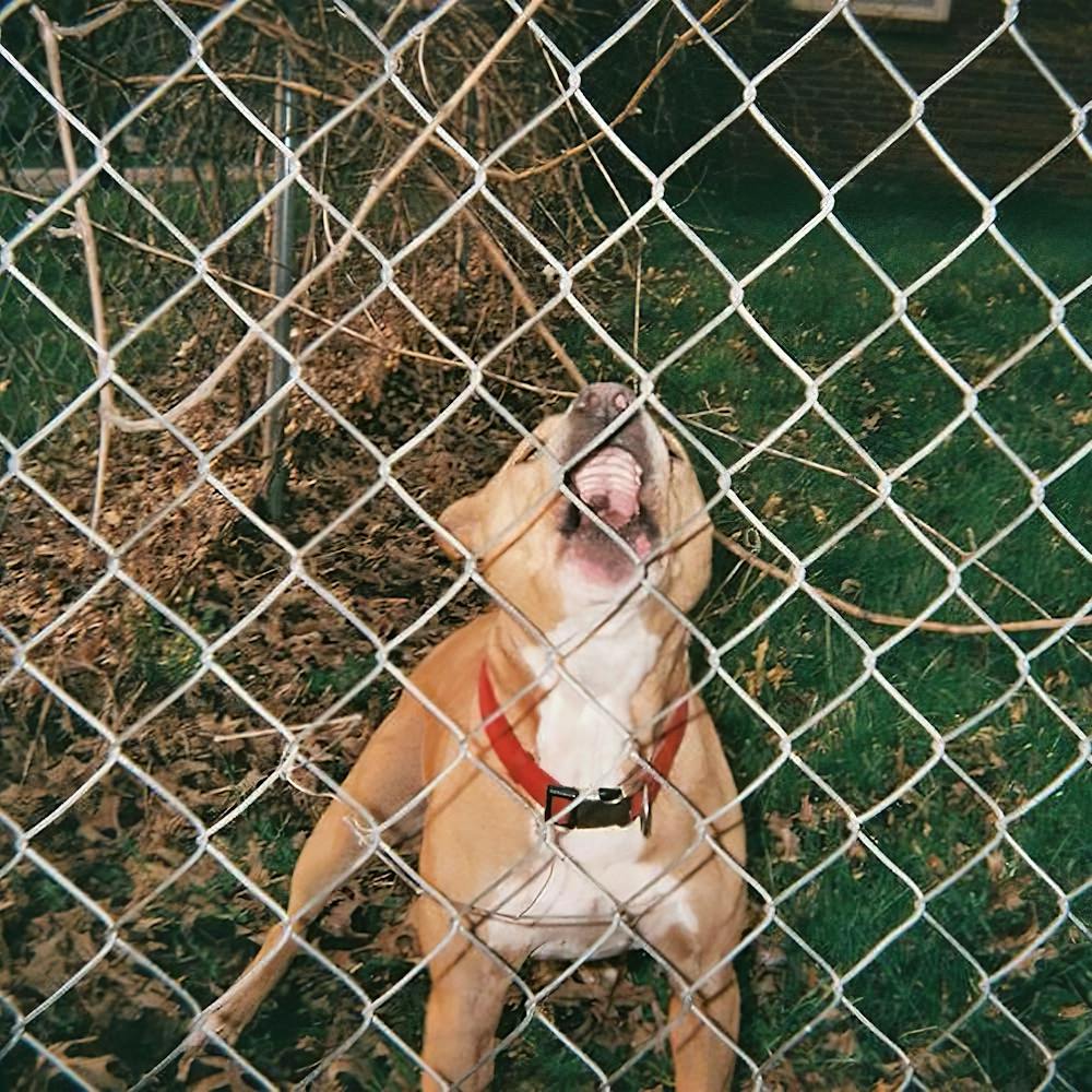 Knocked Loose Album Cover 6