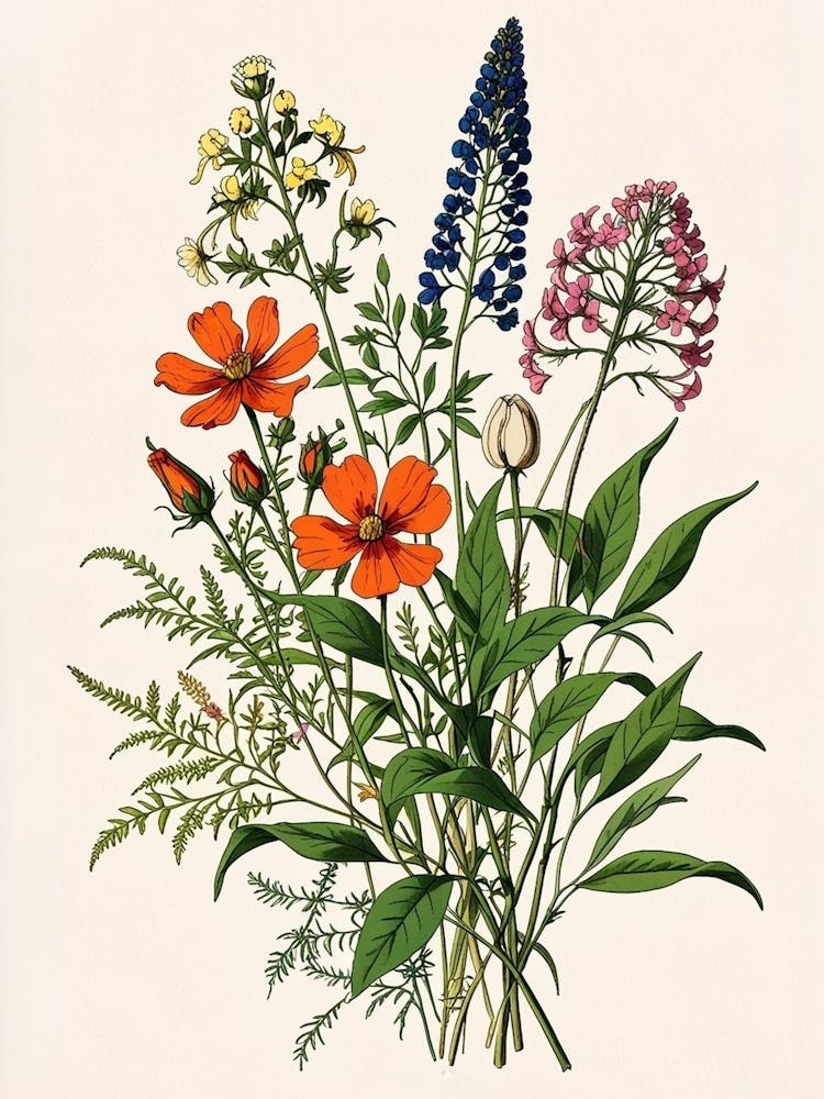 Wildflowers 6