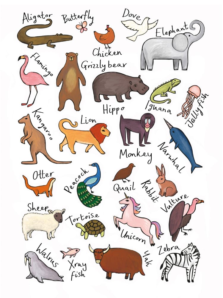 Animal Alphabet