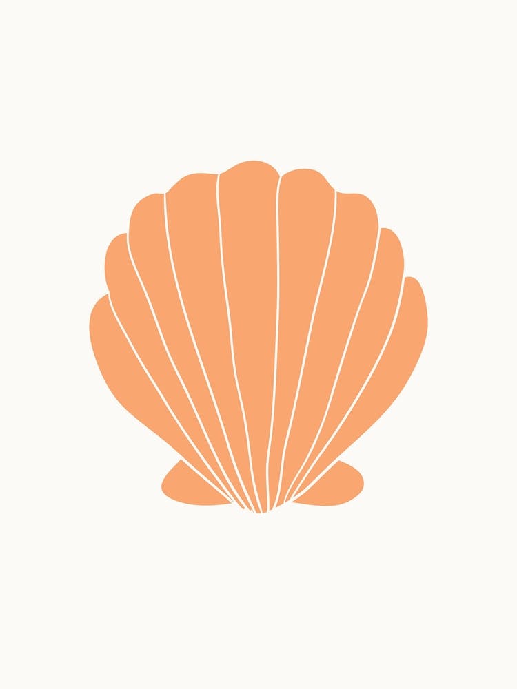 Orange Clam Shell