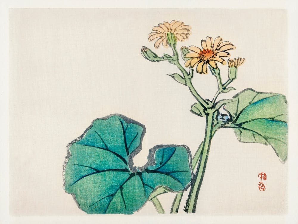 Leopard Plant, Kōno Bairei
