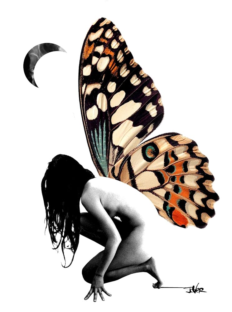 Metamorph