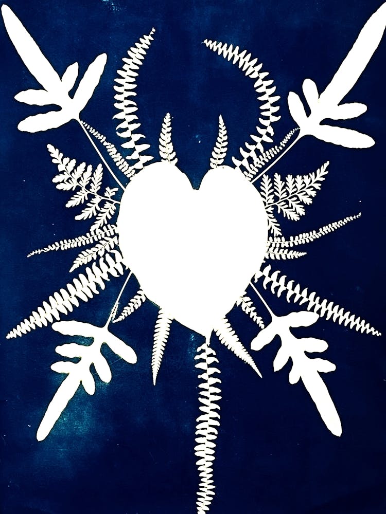 Heart Of Ferns 2