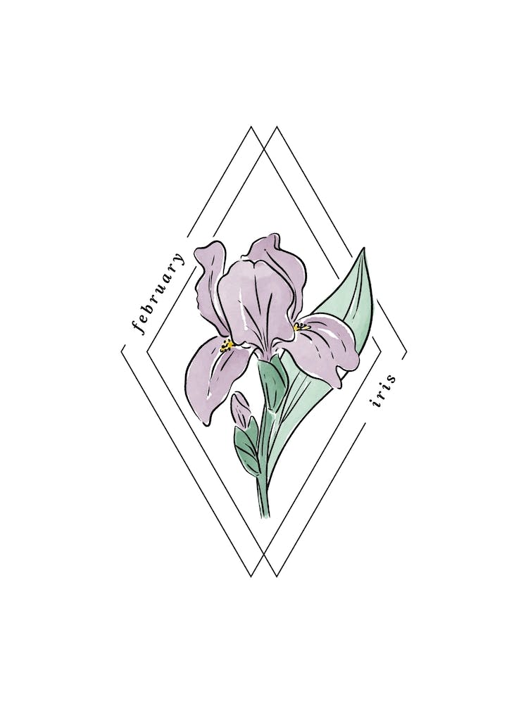 February Iris Birth Flower | Diamond Frame