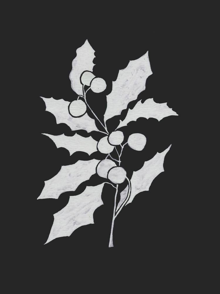 Holly Leaves