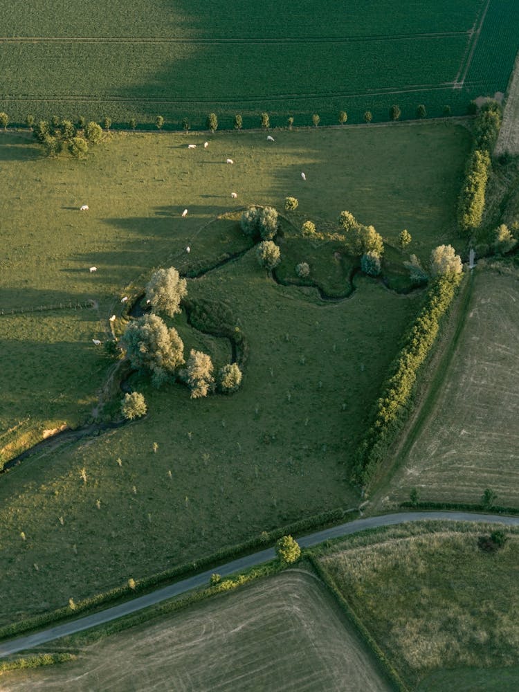 Aerial View Of A Field | Landscape and travel photography