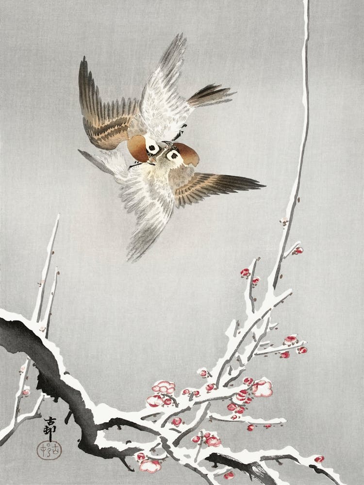 Sparrows And Snowy Plum Tree (1900 1936), Ohara Koson