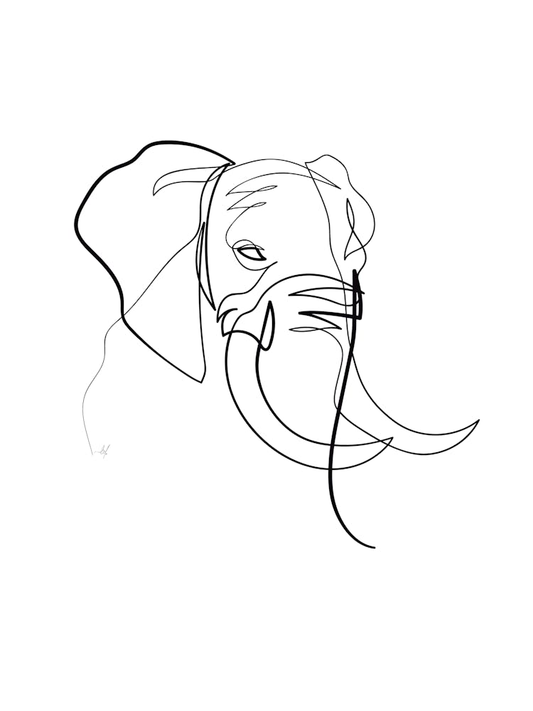 Elefant 01