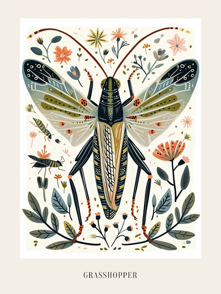Colourful Insect Illustration Grasshopper 8 Poster