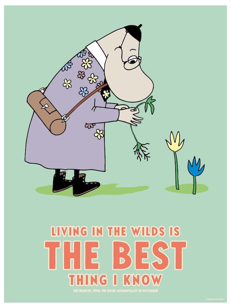 The Moomin Collection Best