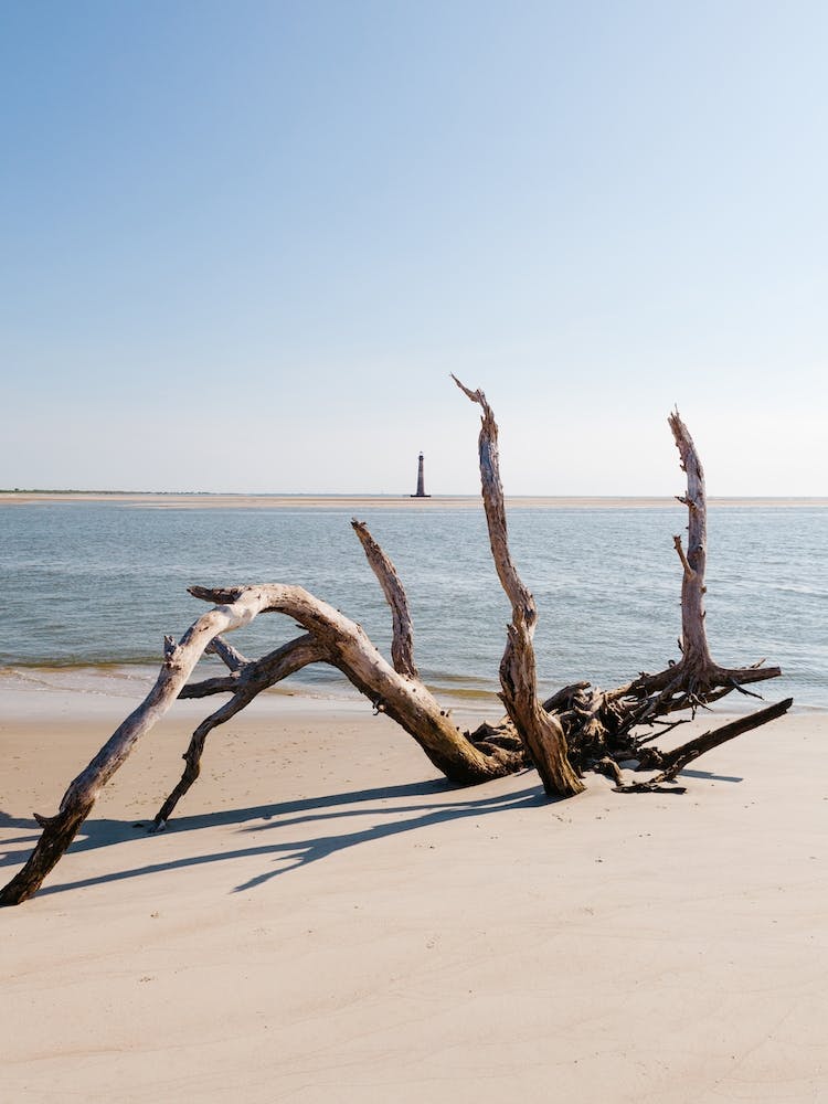 Sullivans Island XIII