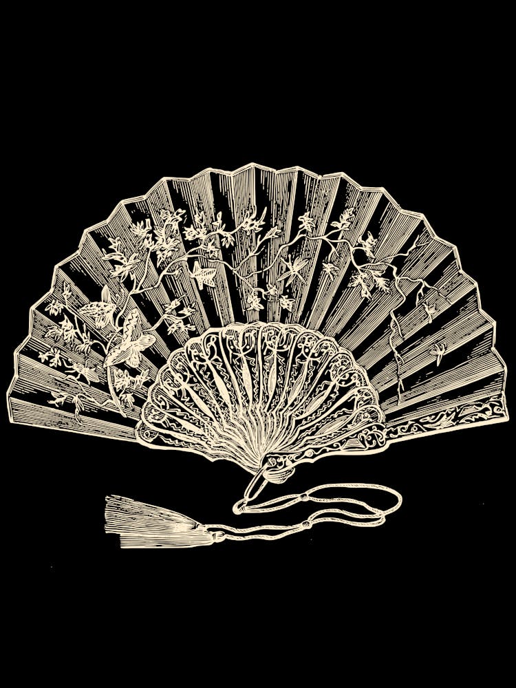 Fan BLACK