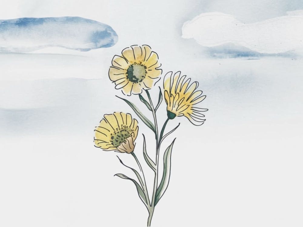 Watercolor Flowers