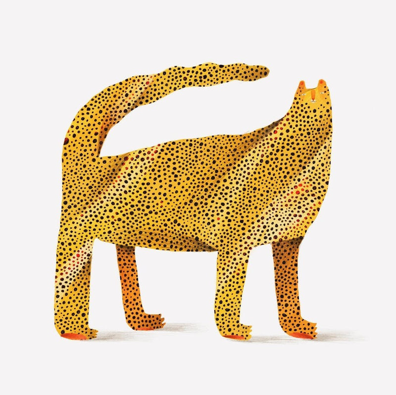 Spotted Cat