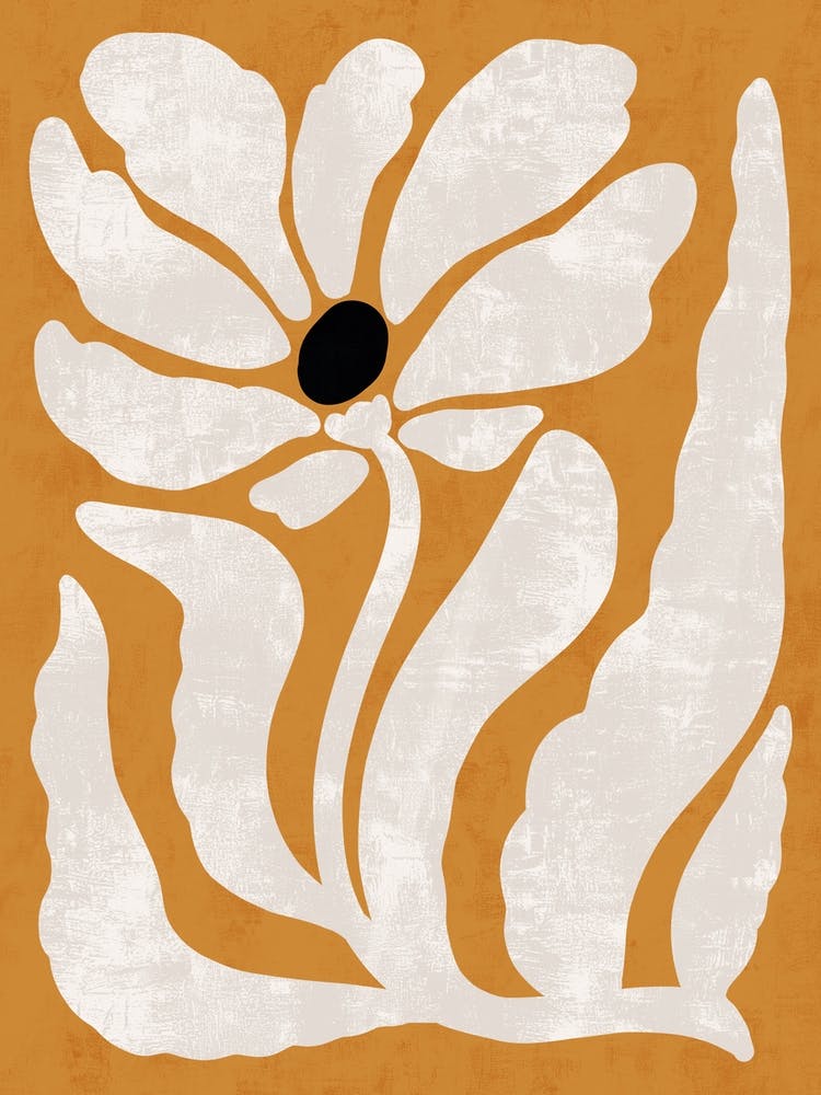 Flower In Orange And White
