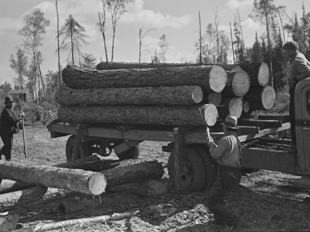 Unloading Timber From Truck At Camp, Near Effie, Minnesota By Russell Lee