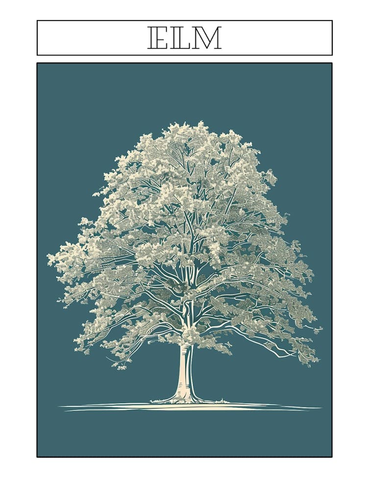 Elm Tree Minimalistic Drawing 2 Poster