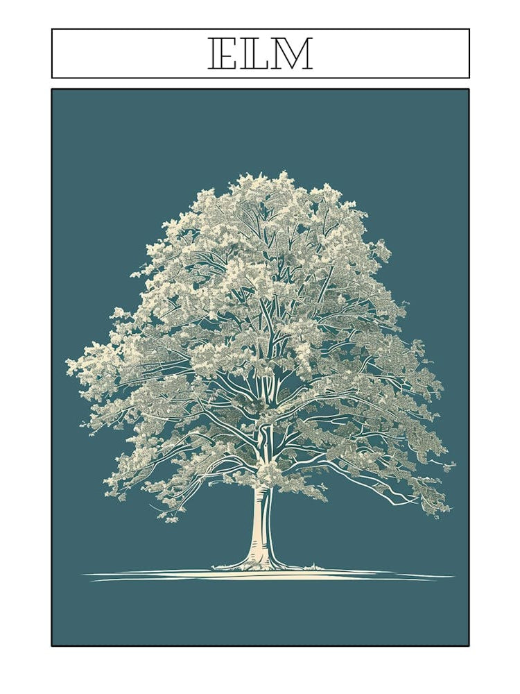 Elm Tree Minimalistic Drawing 2 Poster