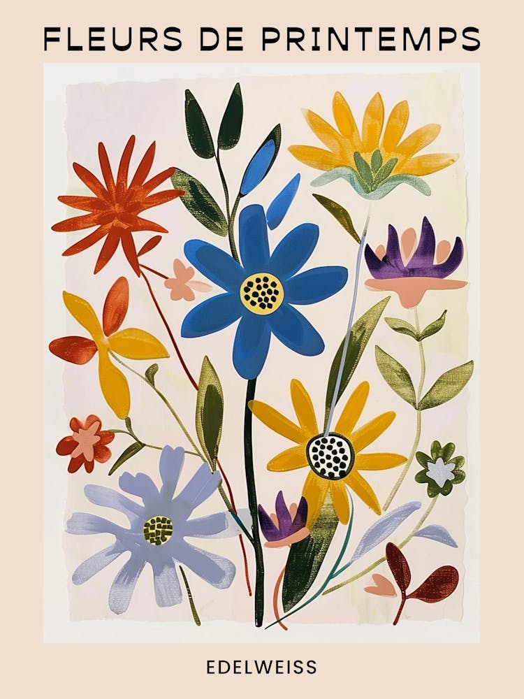 Spring Floral French Poster  Edelweiss 1