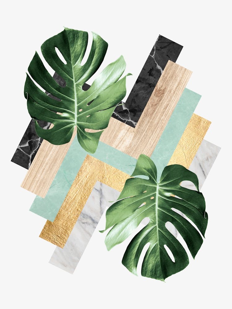 Geometric and floral composition 7