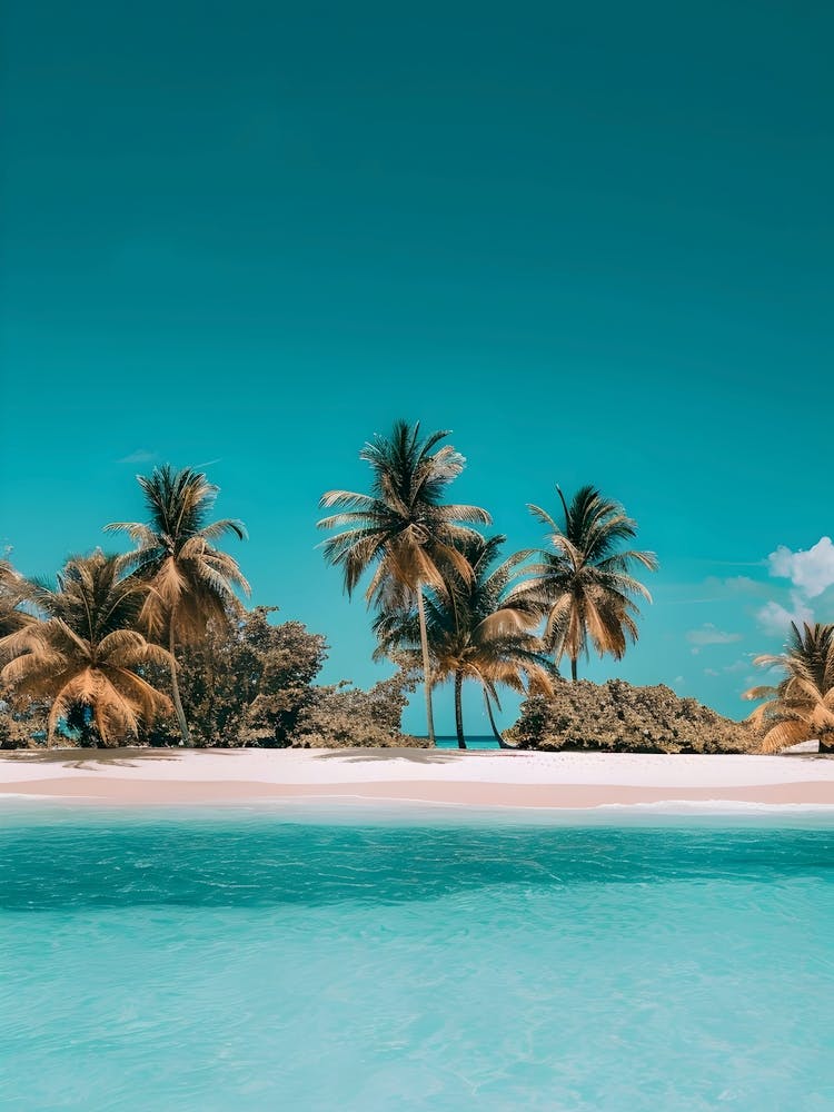 Tropical Beach With Palm Trees 2