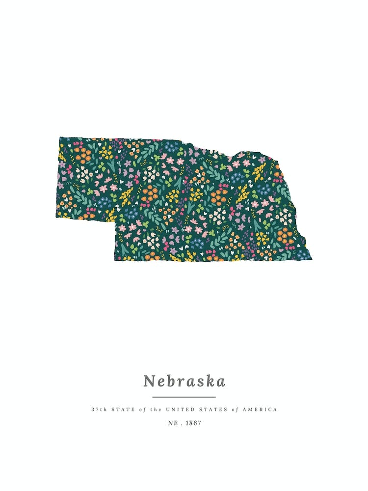 Nebraska State | Wildflowers on Juniper Green