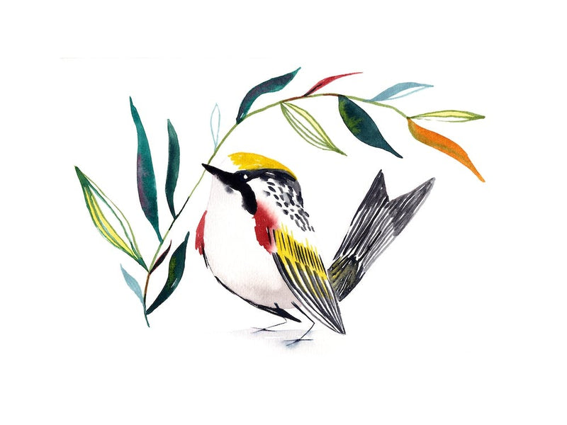 Watercolor Bird 5