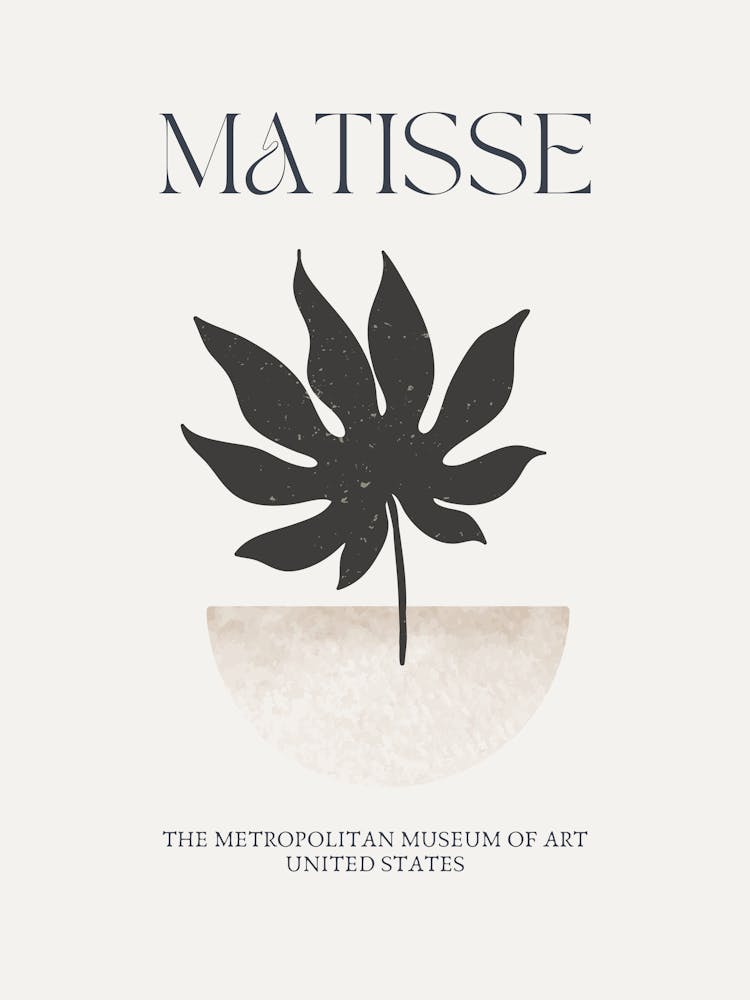 Matisse 6