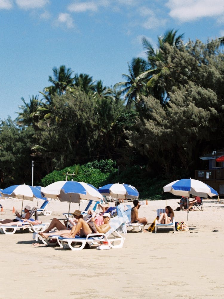 Sunbathers