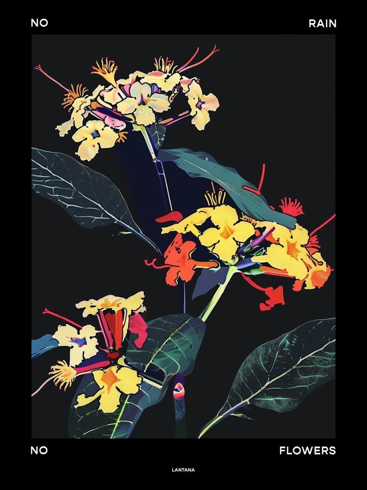 No Rain No Flowers Poster Lantana 3