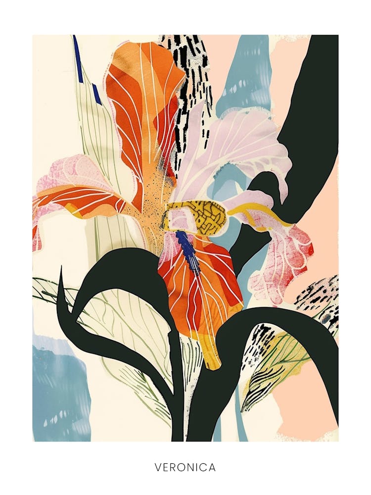 Colourful Flower Illustration Poster Veronica 2