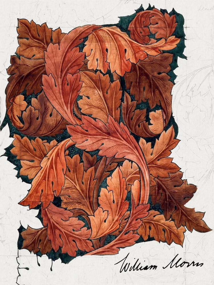 William Morris, Acanthus