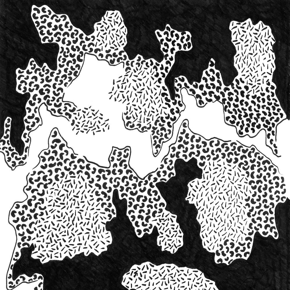 Microlandscapes 2 Square