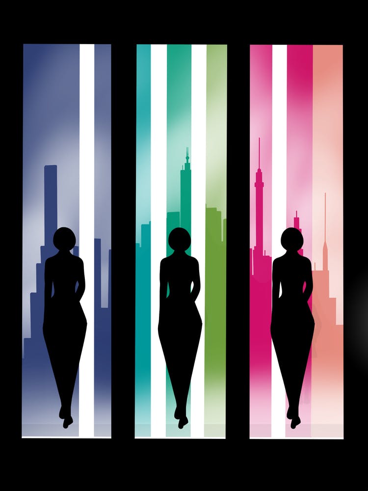 Silhouette Of A Woman