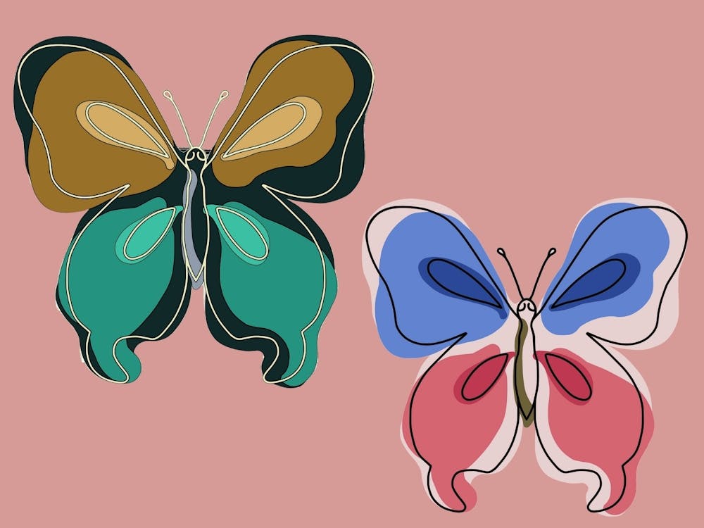 Two Butterflies On A Pink Background