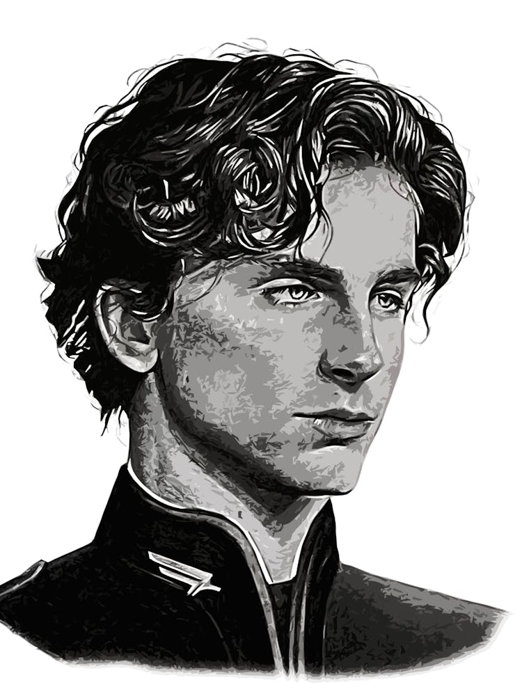 paul atreides dune movie 13