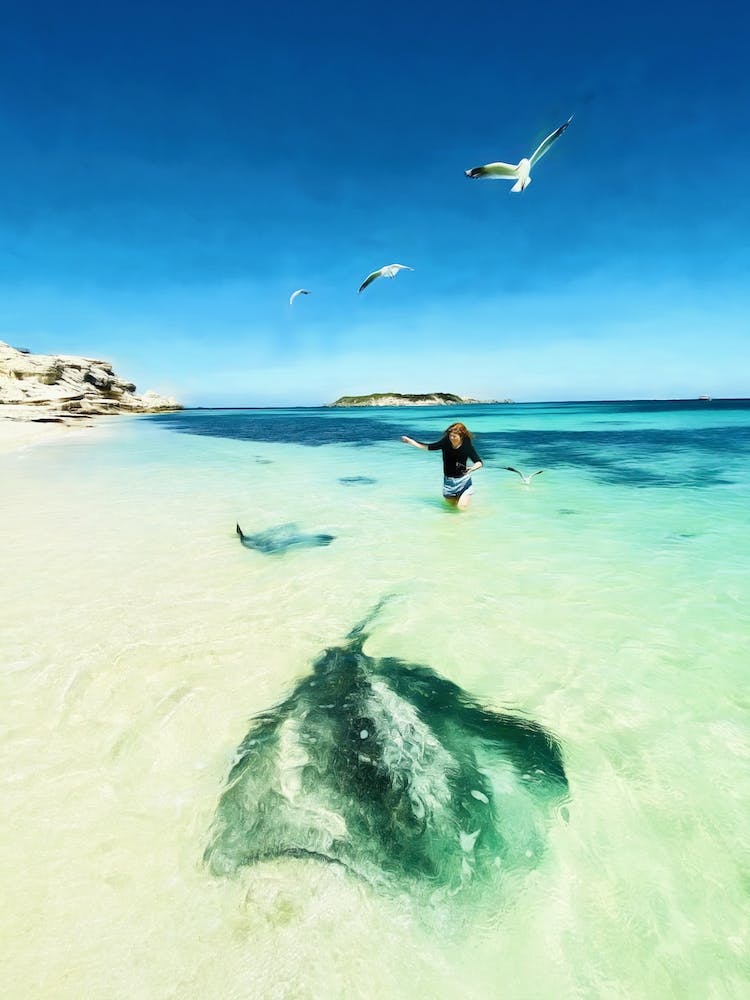 Stingray Beach