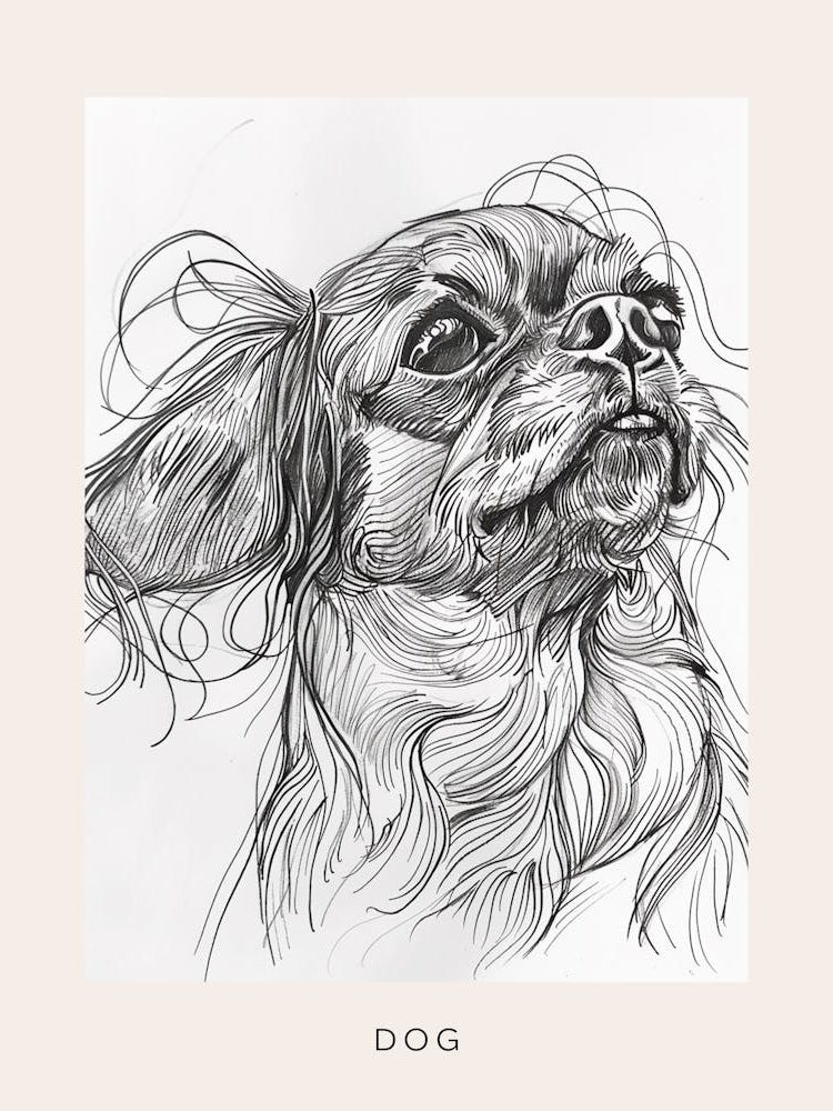 Dog Portrait Line Sketch 2 Poster