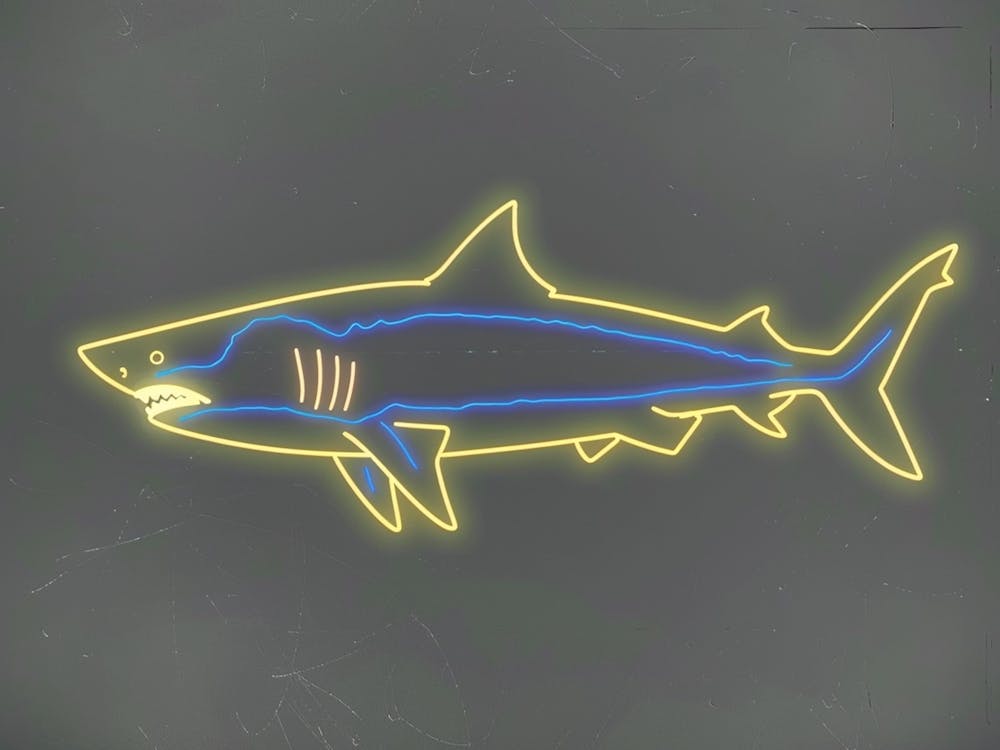 Neon Bigeye Thresher 2
