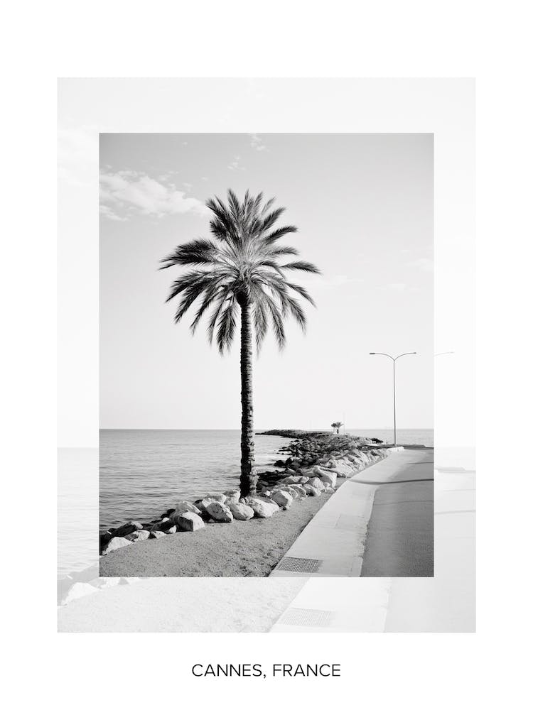 Poster Of Cannes, France, Black And White Old Photo 4