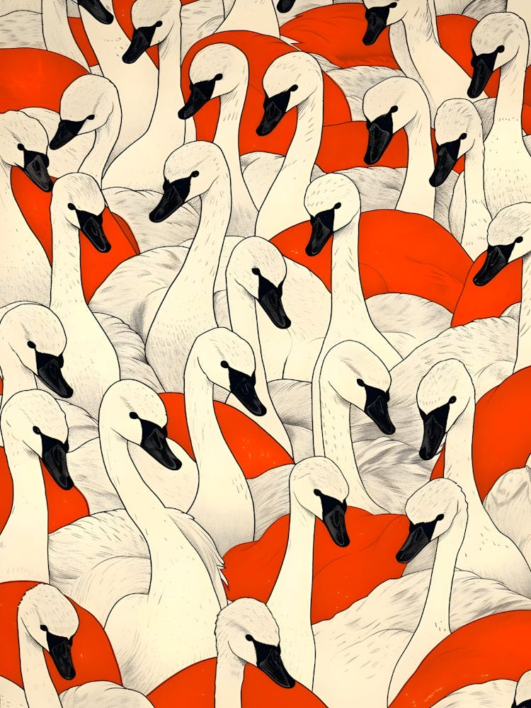 Swans