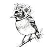 Delicate Drawing Art Prints